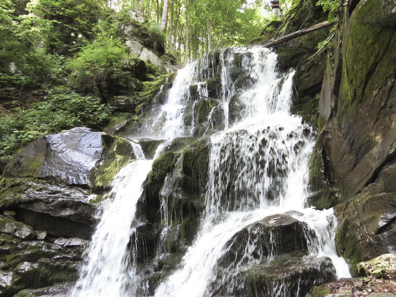 Cascading Beauty: The Enchanting Shypit Waterfall of the Carpathians. Photo