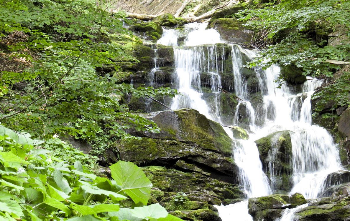 Shypit Waterfall: A majestic cascade of water plunging over the rocky cliffs of the Carpathian mountains, creating a mesmerizing display of nature's power. The crystal-clear water sparkles in the sunlight, with countless water droplets dancing in the air, creating a captivating natural spectacle.