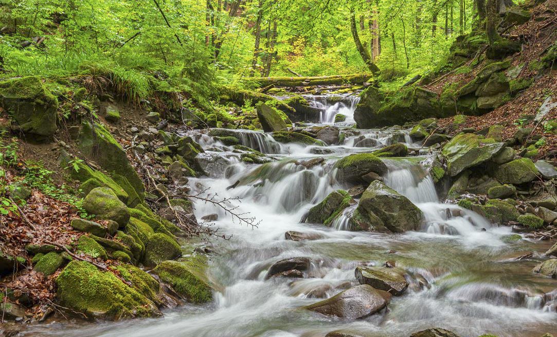Shypit Waterfall: Thundering waters cascading down the mountainside, surrounded by the lush greenery of the Carpathian forests. The waterfall's powerful flow carves its way through the rocky terrain, creating a serene oasis in the heart of the mountains.