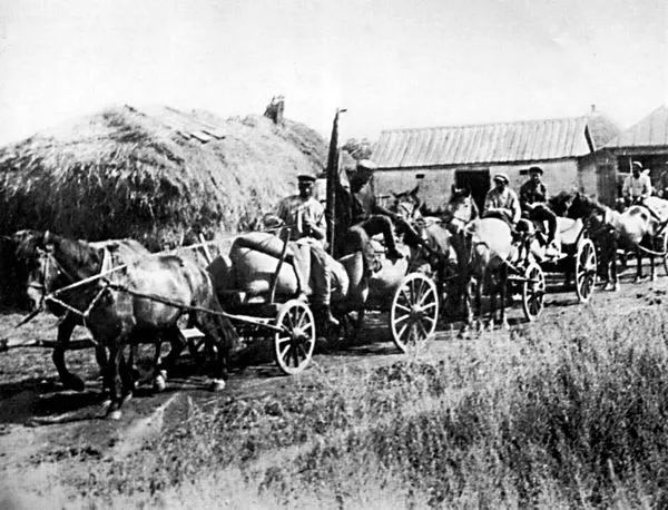 A Red Train of carts in the village of Oleksiyivka, Kharkiv oblast in 1932.